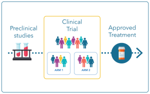 How do you translate legal terms in clinical trial contracts?