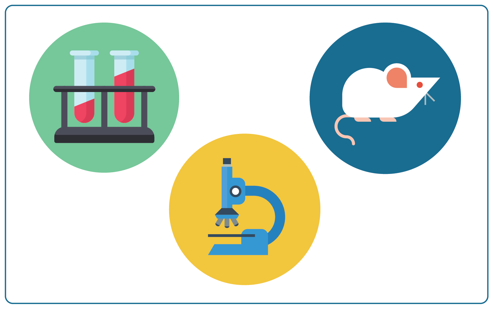 Preclinical Study Clinical Research Glossary