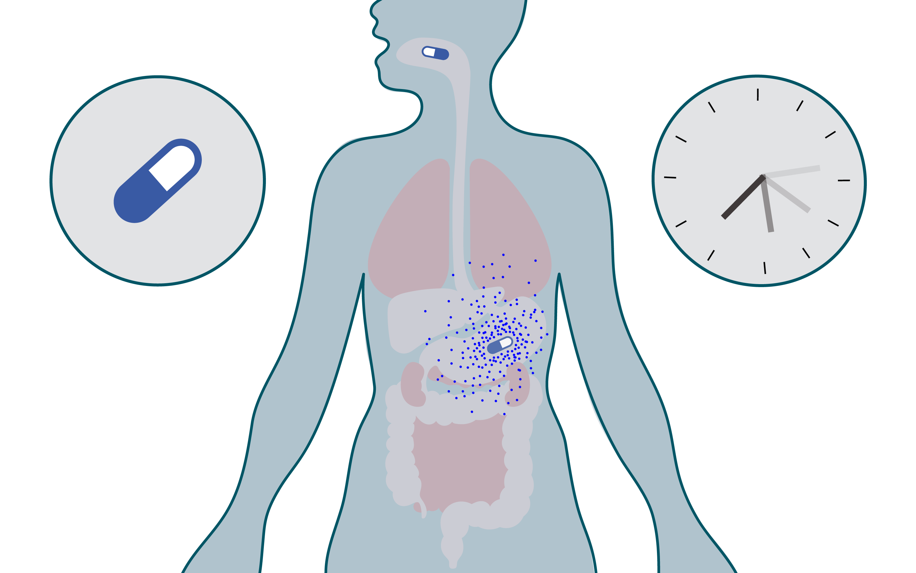 SLU-PP-332 tablets | Shaanxi Bloom Tech SLU-PP-332 tablets | Shaanxi Bloom Tech